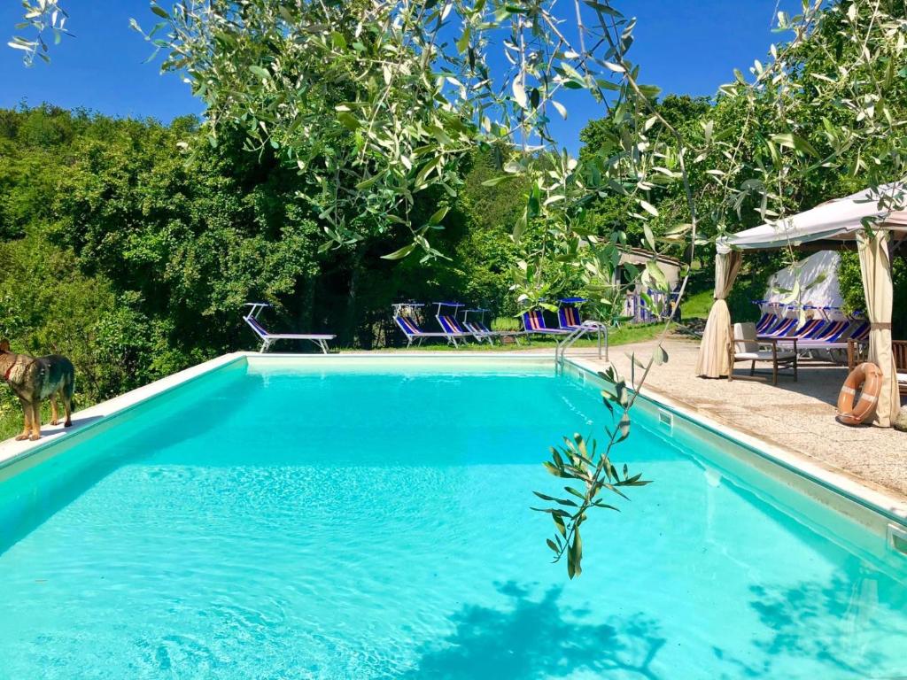 Piscina de la sau aproape de Ala di Maniero in Agriturismo Valdrago in Toscana, nel Verde Mugello sulle Colline di Firenze