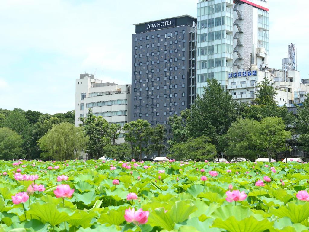 un campo di fiori rosa di fronte agli edifici di APA Hotel Keisei Ueno Ekimae a Tokyo