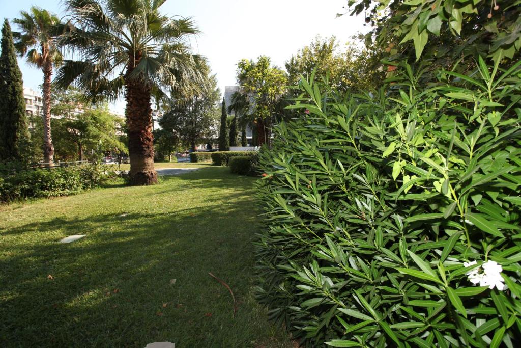 Vonkajšia záhrada v ubytovaní Your address in Koukaki by Athenian Homes