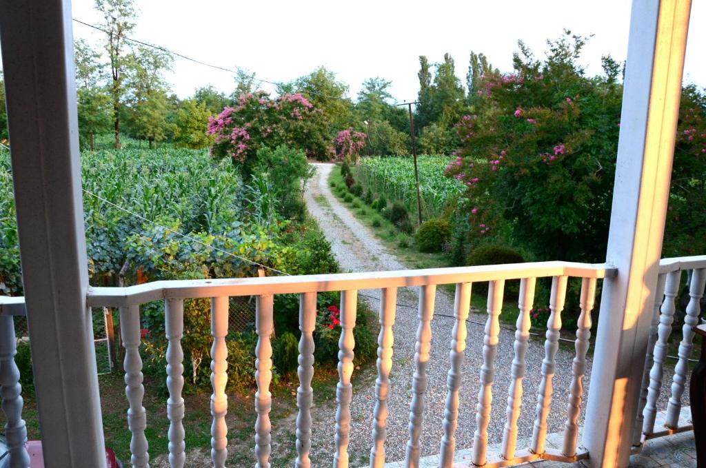 Zahrada ubytování Guesthouse Kamelia