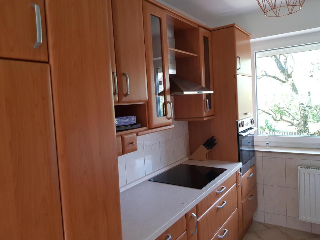 Apartma Unica