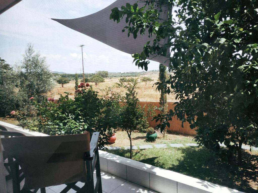 Vonkajšia záhrada v ubytovaní STUDIO POSEIDONIA apartment 75sqm CORINTH CANAL