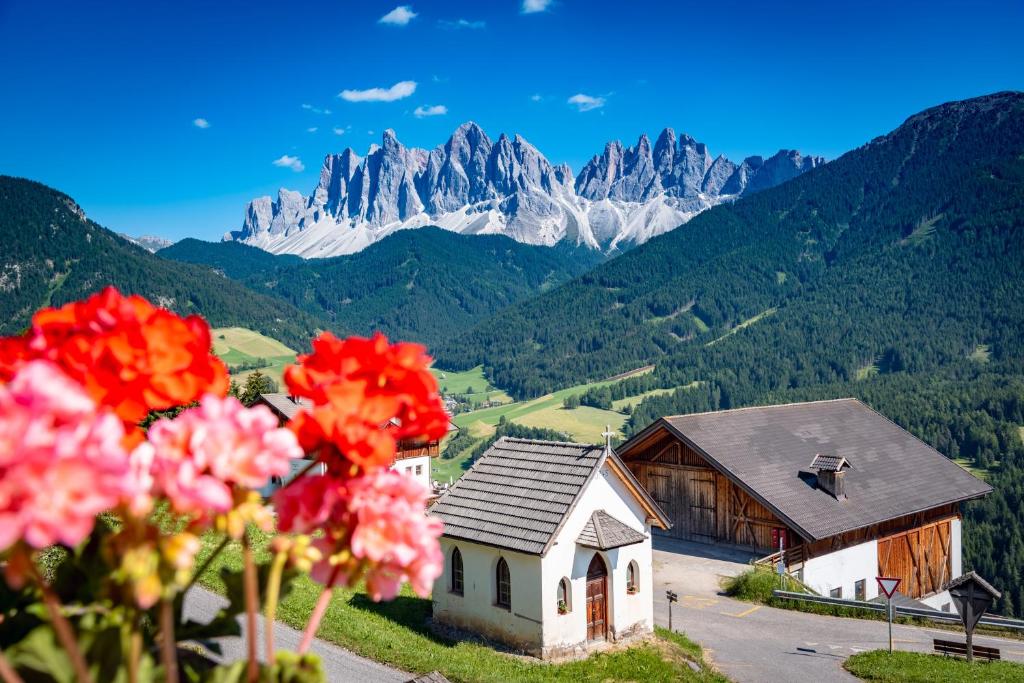 a house in the mountains with flowers in the foreground at Gruberhof Coll in Funes