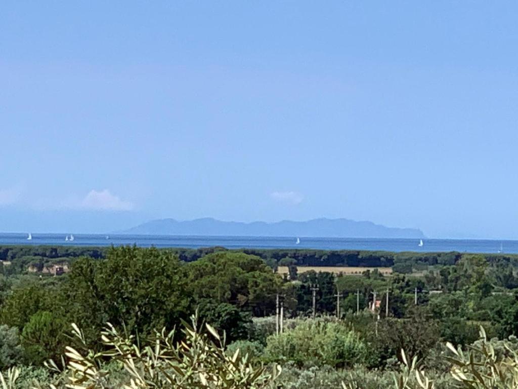 uitzicht op de oceaan vanaf de top van een heuvel bij Campo alle More in Cecina