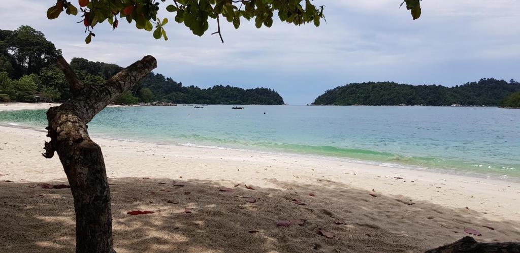 Teluk nipah beach