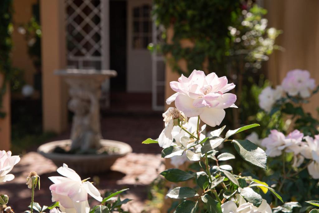 Κήπος έξω από το Roses and Pebbles B & B Guest House