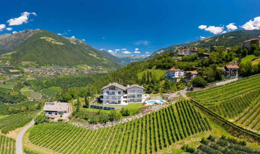 ein Haus in einem Weinberg in den Bergen in der Unterkunft Residence Fiegl in Schenna