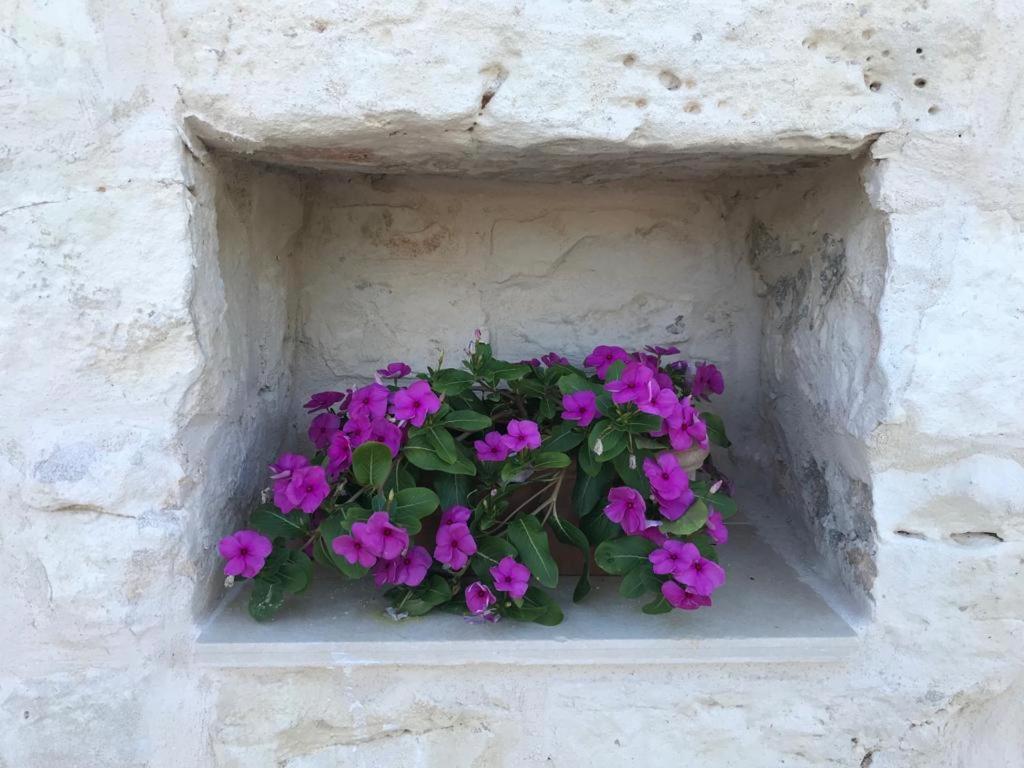 Fotografie z fotogalerie ubytování Trulli Pietraverde v destinaci Ceglie Messapica