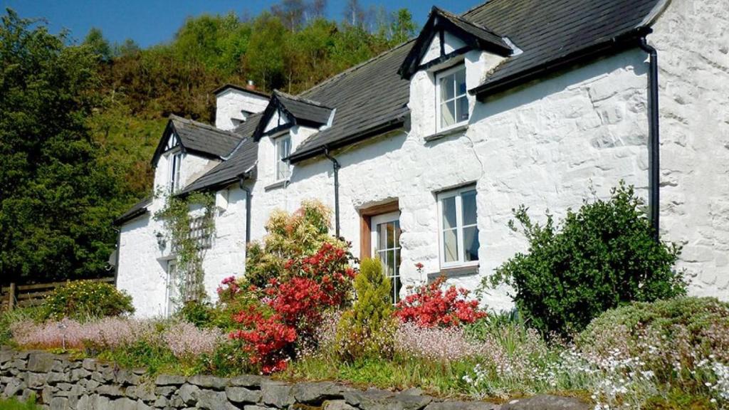 una casa de piedra blanca con un muro de piedra en Maes Glas, en Mallwyd