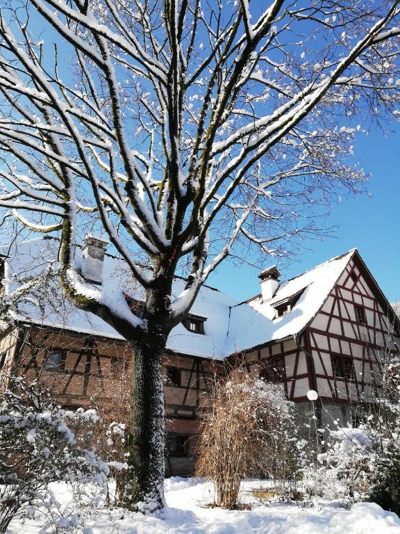 Jugendherberge Feldkirch v zime