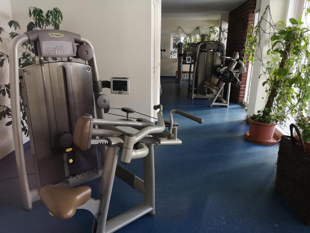 Fitness centrum a/nebo fitness zařízení v ubytování Waldwipfel-Appartement