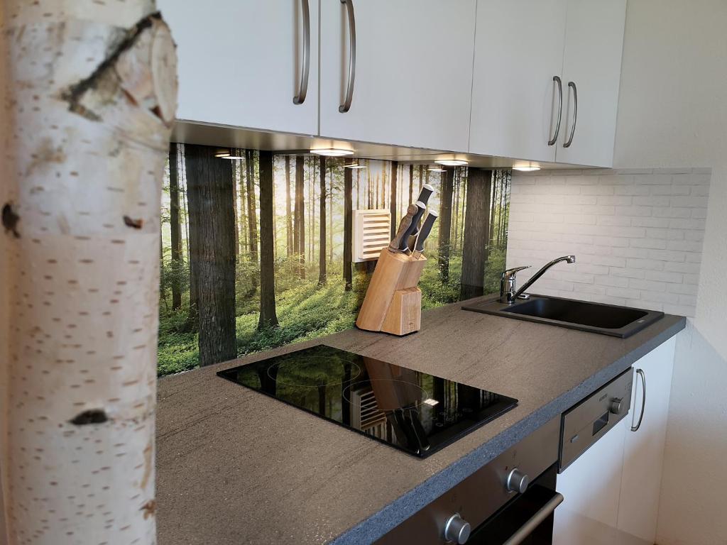 Kuchyň nebo kuchyňský kout v ubytování Waldwipfel-Appartement