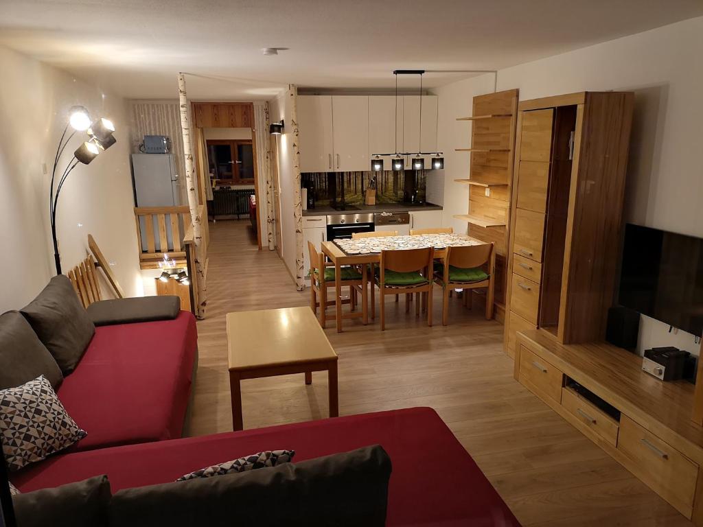 TV a/nebo společenská místnost v ubytování Waldwipfel-Appartement