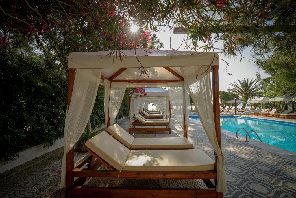 Hotel Summery 