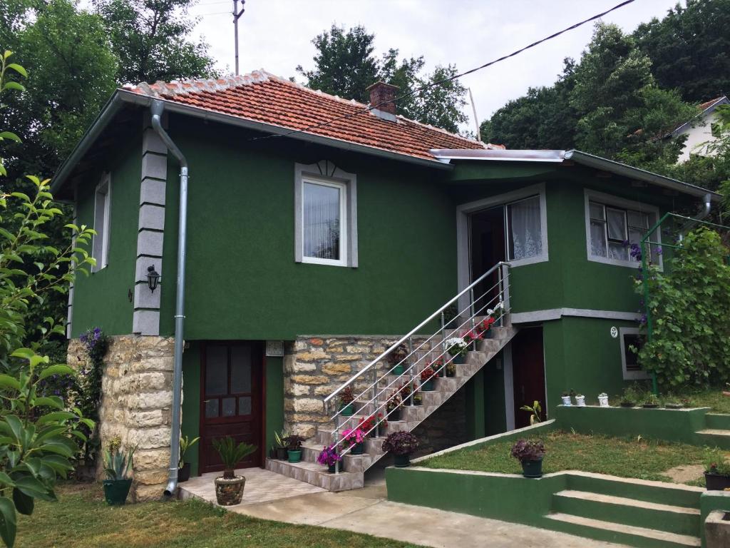 una casa verde con una escalera delante de ella en Kuca Mihajlovic, en Svrljig