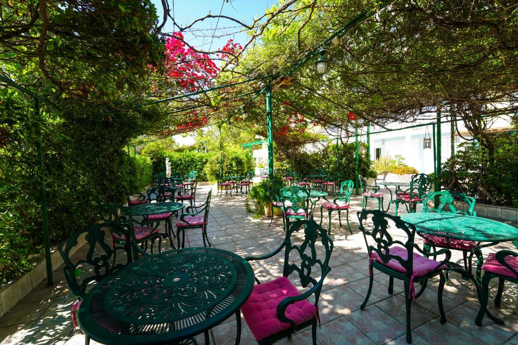 Zahrada ubytování Hotel Summery