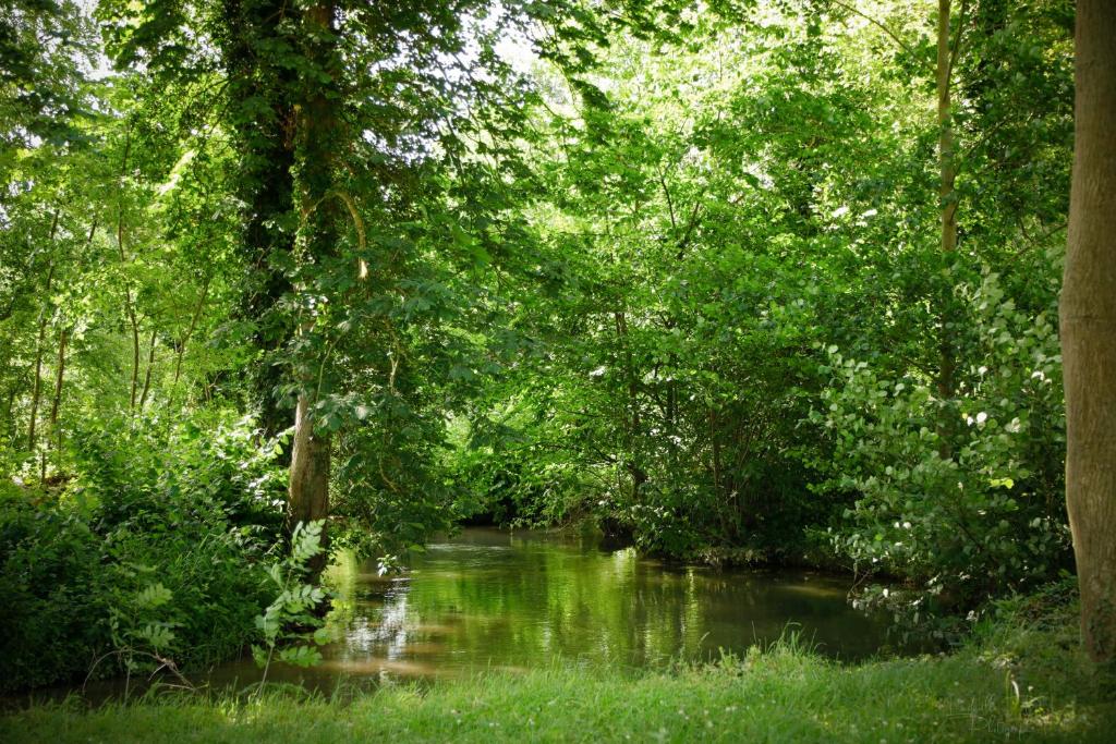 un arroyo en medio de un bosque con árboles en Étape de la Roulotte en Conty