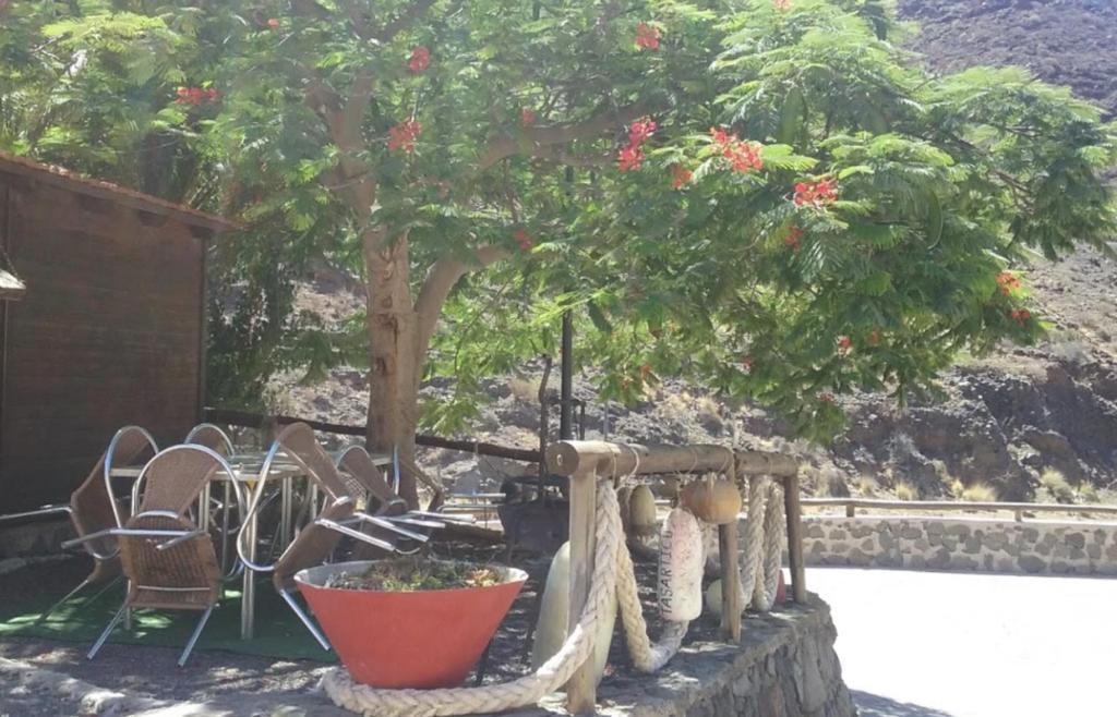 Jardín al aire libre en Blue Ocean Camp - Tasartico