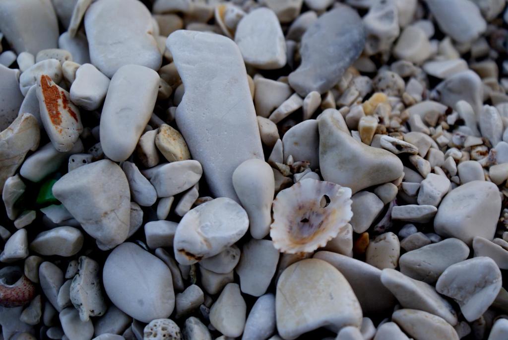 Fotografie z fotogalerie ubytování Pansion Ana v destinaci Mali Lošinj