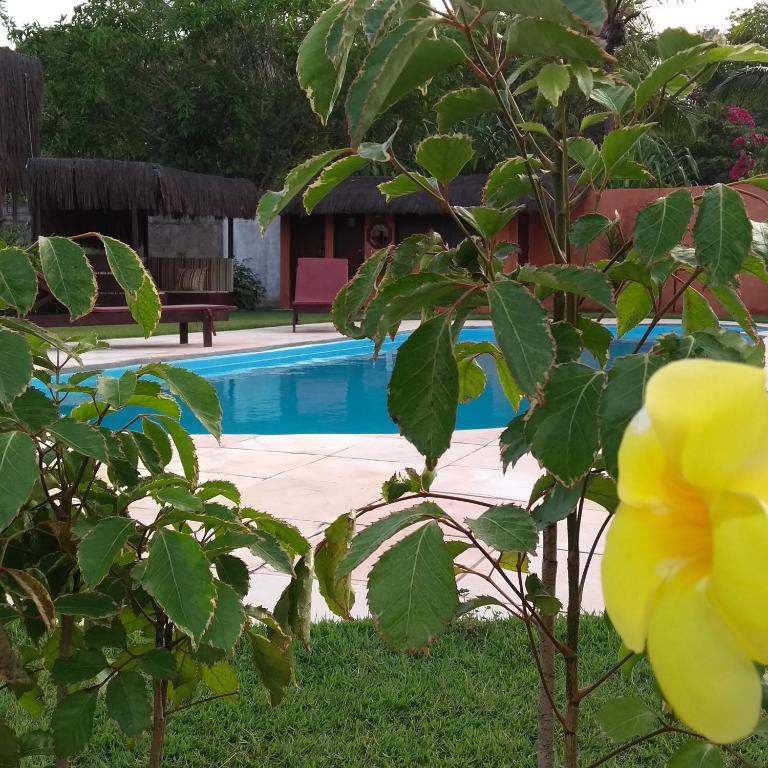  Casas das Gaivotas