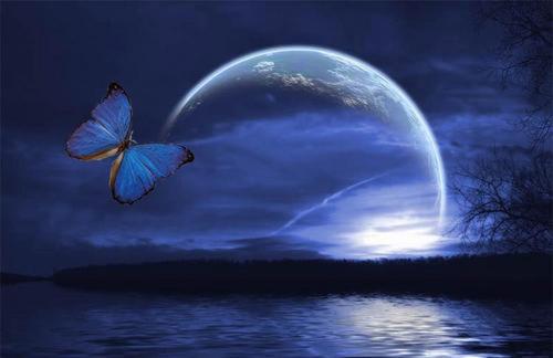 una mariposa volando delante de una luna azul en Volvoreta, en Padrón