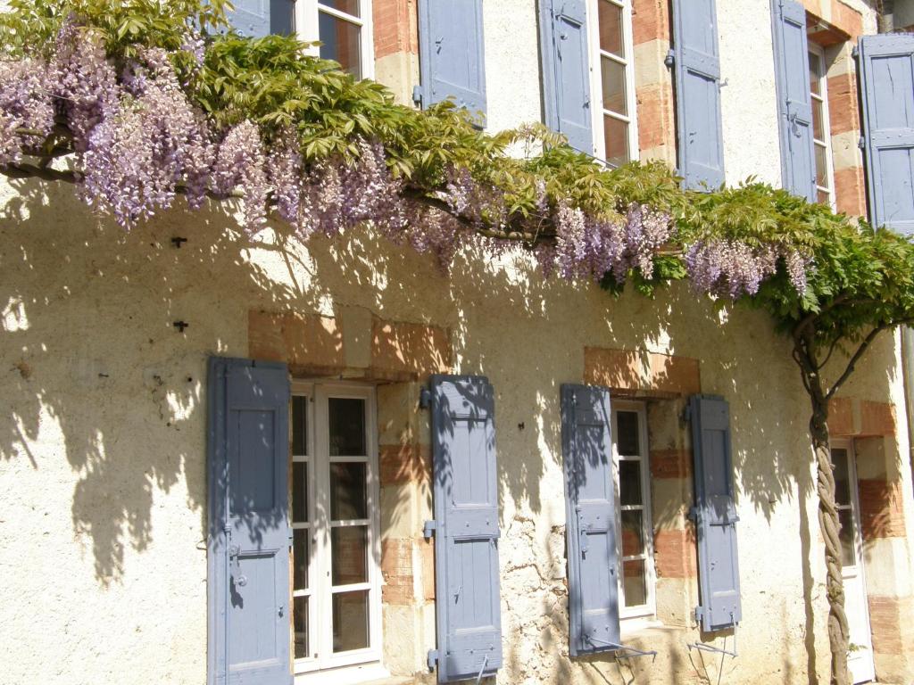 un edificio con persianas azules y glicinas en él en Cottage à la Jinolié en Damiatte