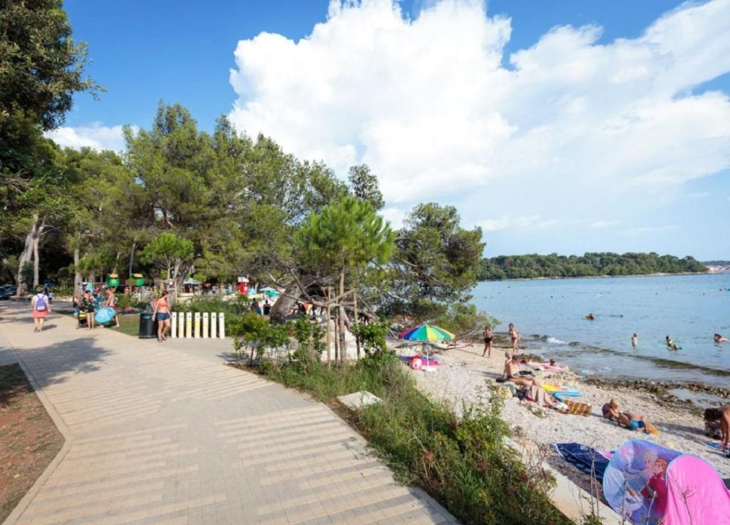 Příroda nedaleko apartmánu