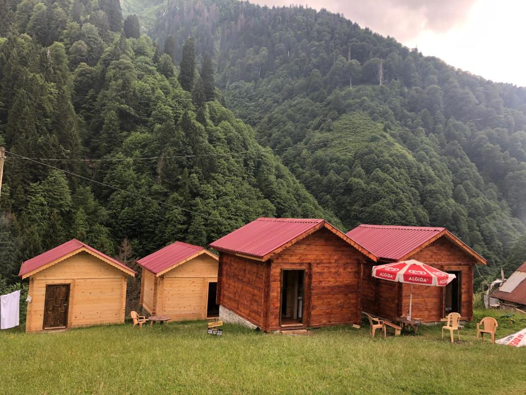 a group of buildings in front of a mountain at Ayder Şelale Apart in Ayder Yaylasi