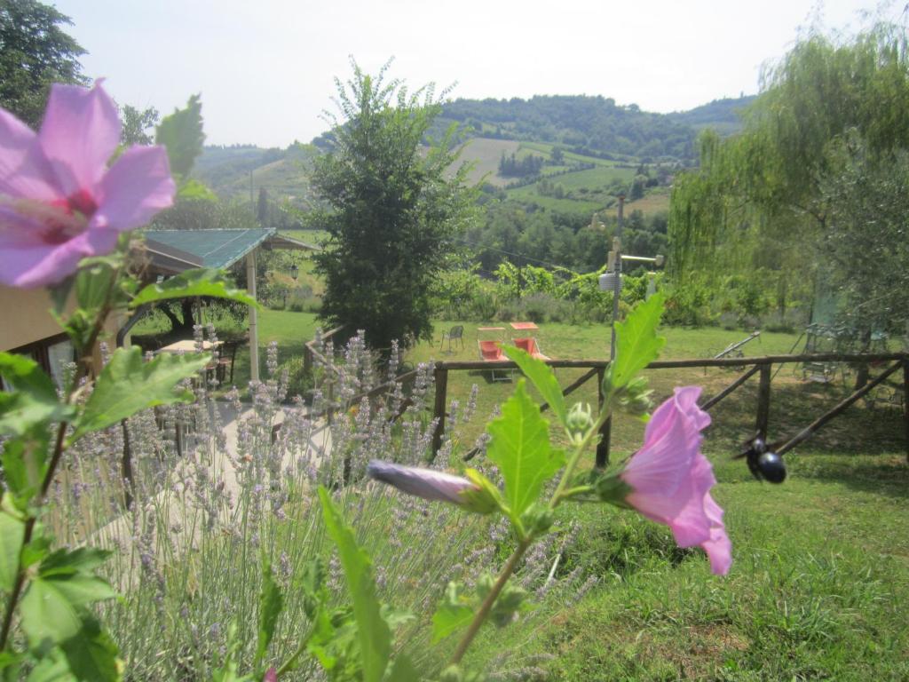 a garden with pink flowers and a fence at Le Spighe Agriturismo in Cesena