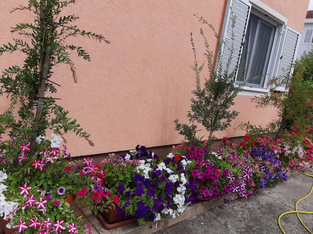 Um jardim no exterior de Sobe Nedović