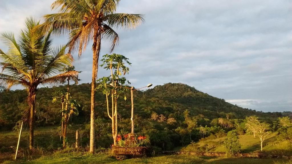  Fazenda Ecológica na Floresta da Serra da Copioba