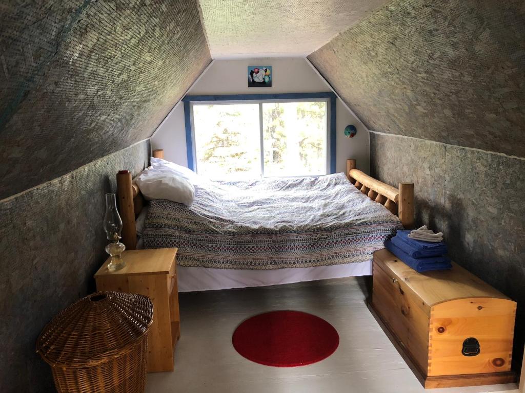 Photo from Vines and Puppies Hideaway in Jade City, British Columbia, Canada