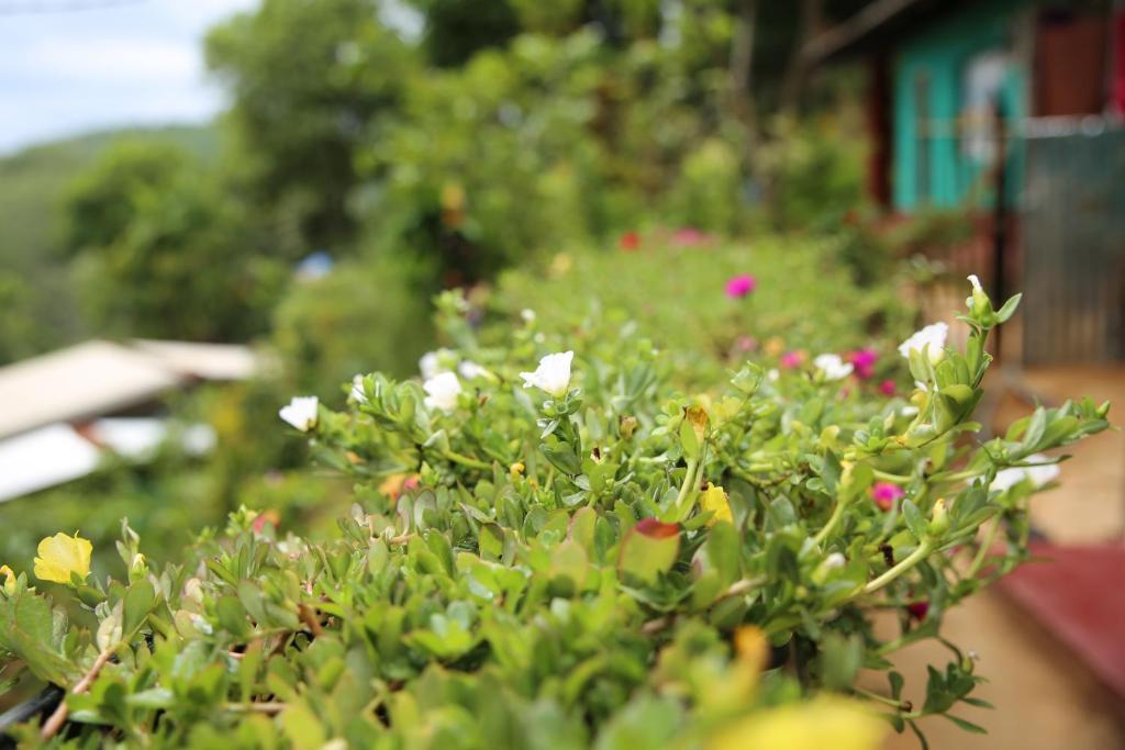 Zahrada ubytování Secret Nest Homestay