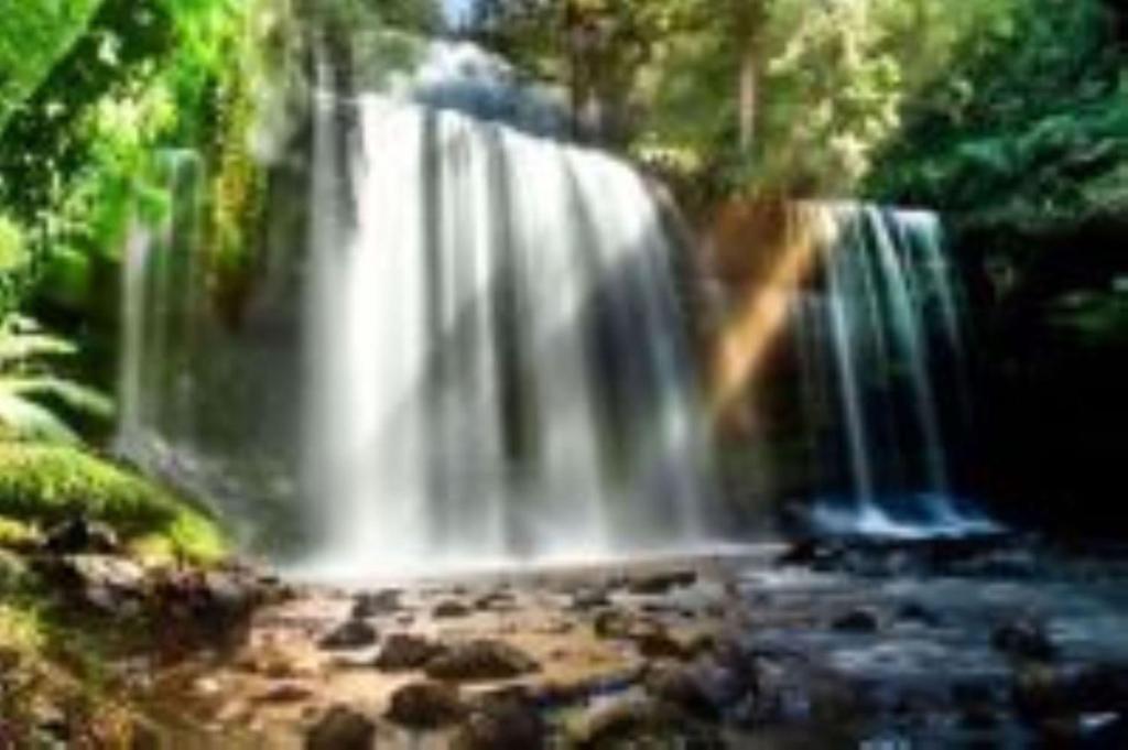a painting of a waterfall in a forest at Russell Falls Holiday Cottages in National Park