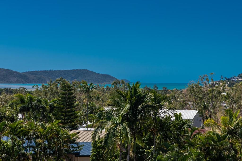 a view of the ocean from a resort with palm trees at Sunset Escape in Airlie Beach