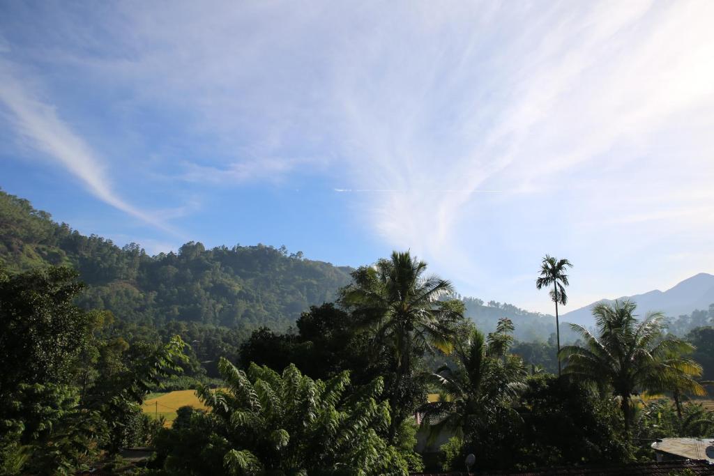 uitzicht op de bergen en palmbomen bij Sadula Homestay Ella in Ella