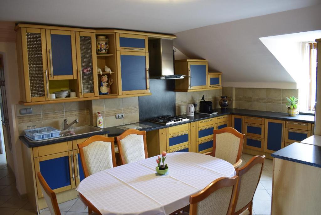 Kuchyň nebo kuchyňský kout v ubytování Taverna panzió