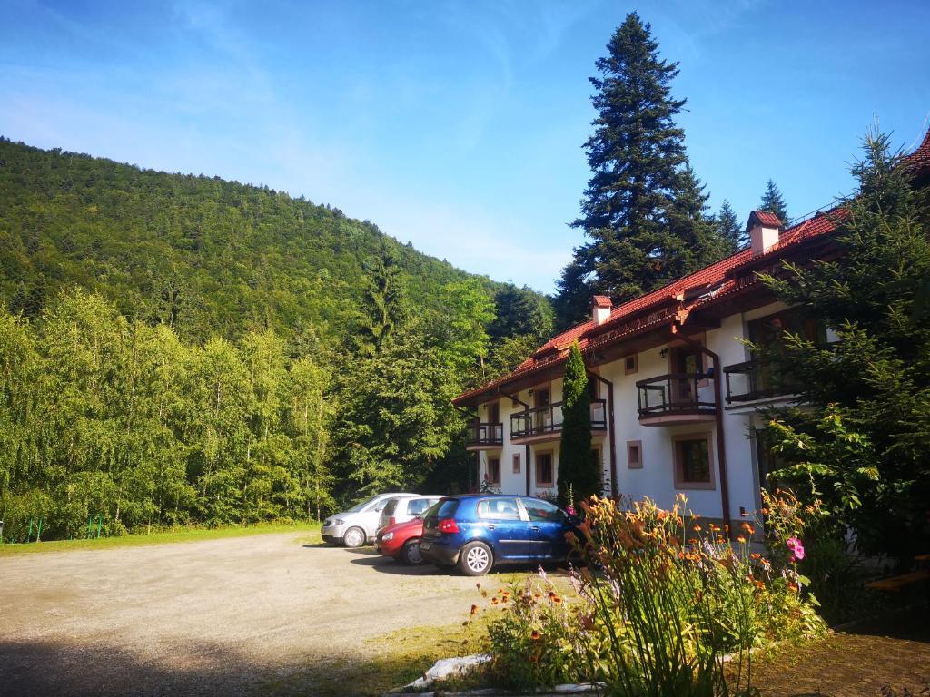 a building with two cars parked in a parking lot at Floarea Reginei in Sîmbăta de Sus