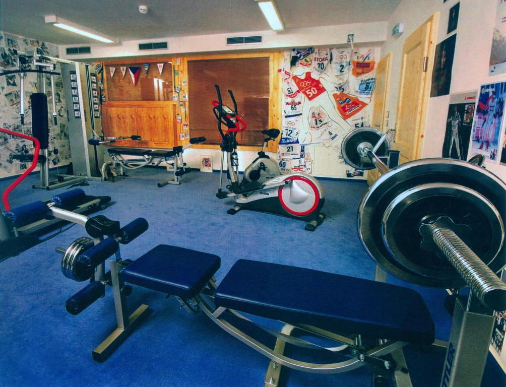 Fitness centrum a/nebo fitness zařízení v ubytování Chalupa K. Neumannove
