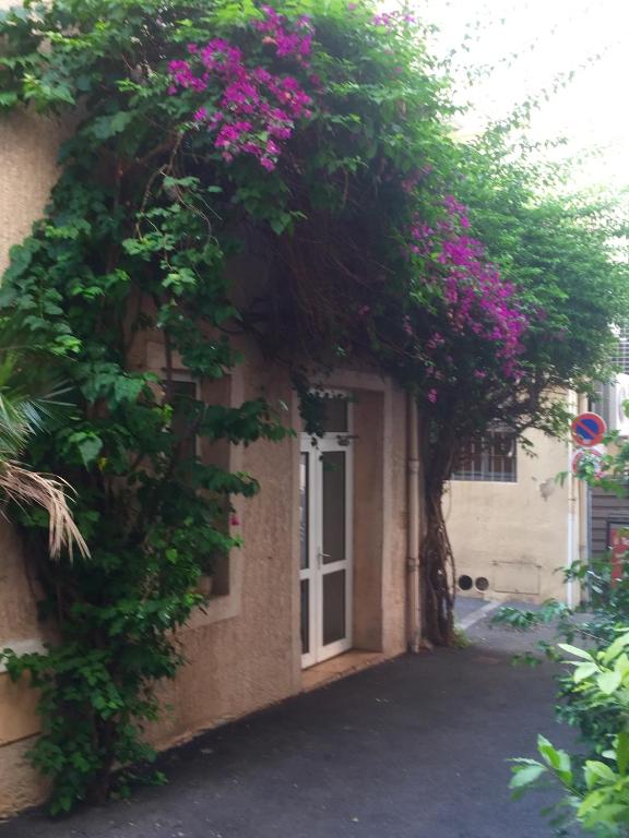 Appia Hotel - Resim 15