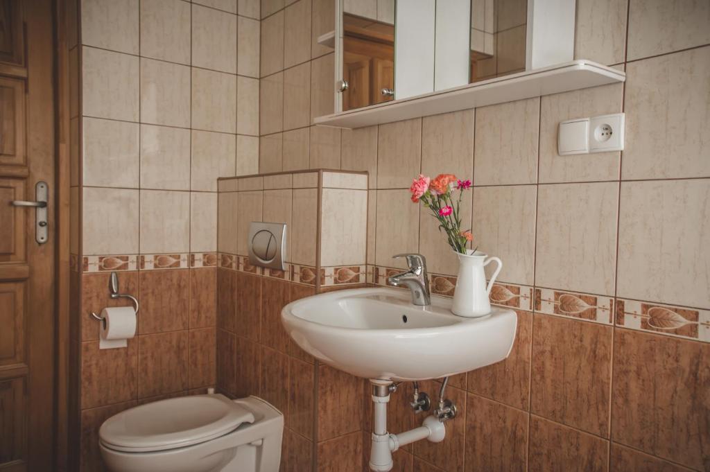 Kúpeľňa v ubytovaní Pokoje gościnne Gobo
