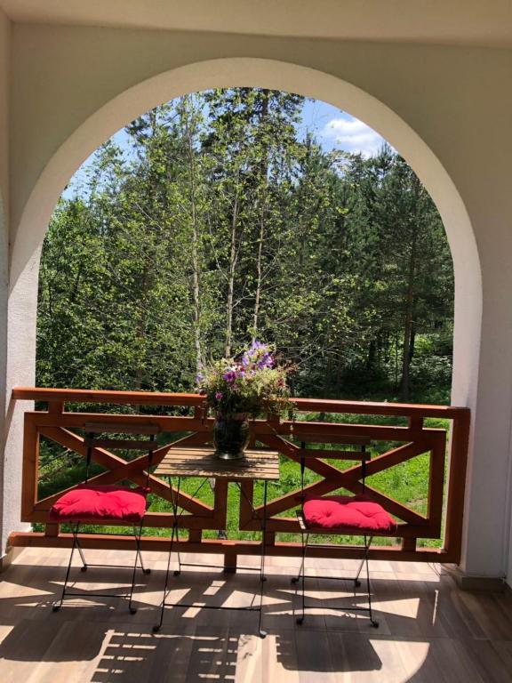 Zahrada ubytování Vila ANA