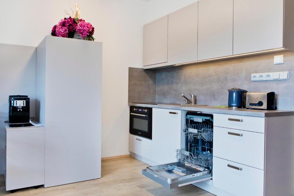 Apartmány Dolní Morava - Duplex Apartment