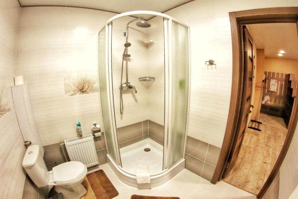 y baño con ducha y aseo. en Комфортні апартаменти в Чернігові, en Cherníhiv