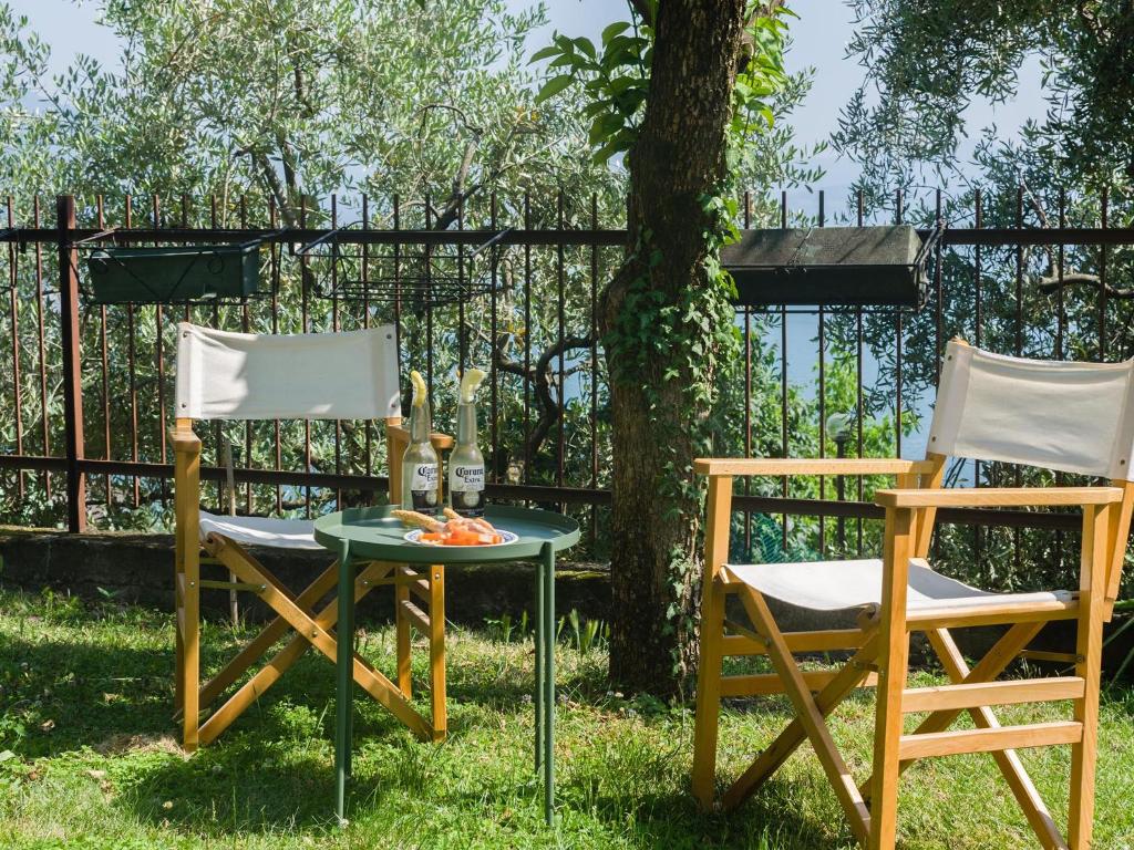 Ogród w obiekcie Discesa a Lago with terrace and garden on lake Iseo