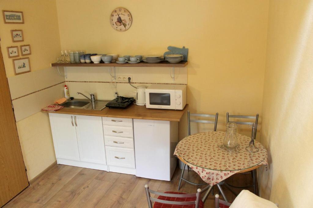 Kuchyň nebo kuchyňský kout v ubytování Apartmán Turista