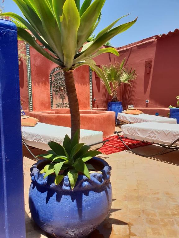 Bazén v ubytování Riad Dar Colline nebo v jeho okolí