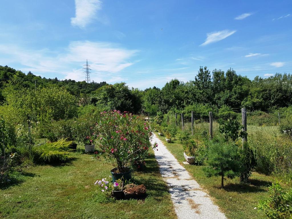 Příroda nedaleko bed and breakfast