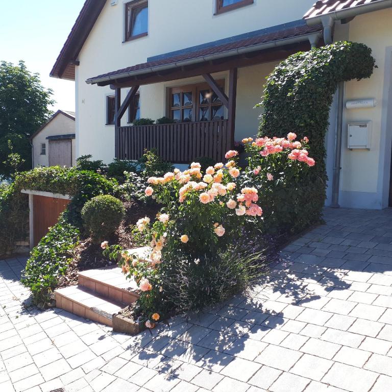 Zahrada ubytování Ferienwohnung Weigert