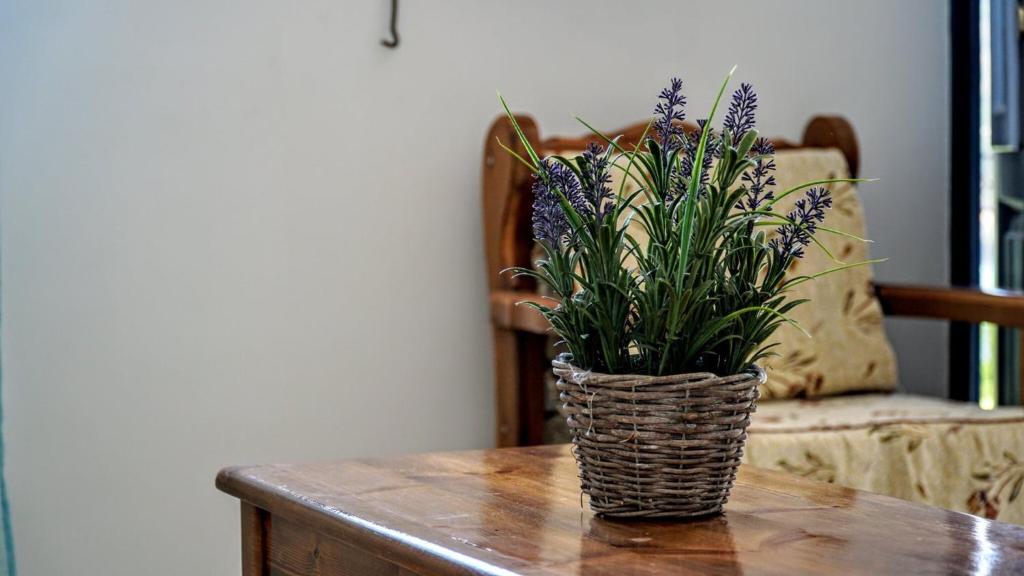 a vase of purple flowers sitting on a table at Irene Double Apartment Katoi in Symi
